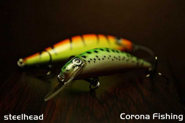 Steelhead